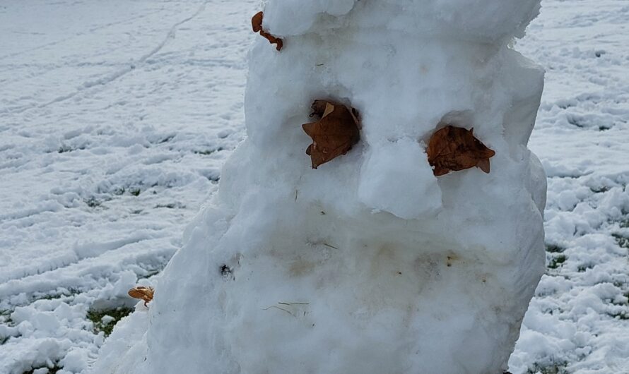 «Juhee, juhee, der erste Schnee!»