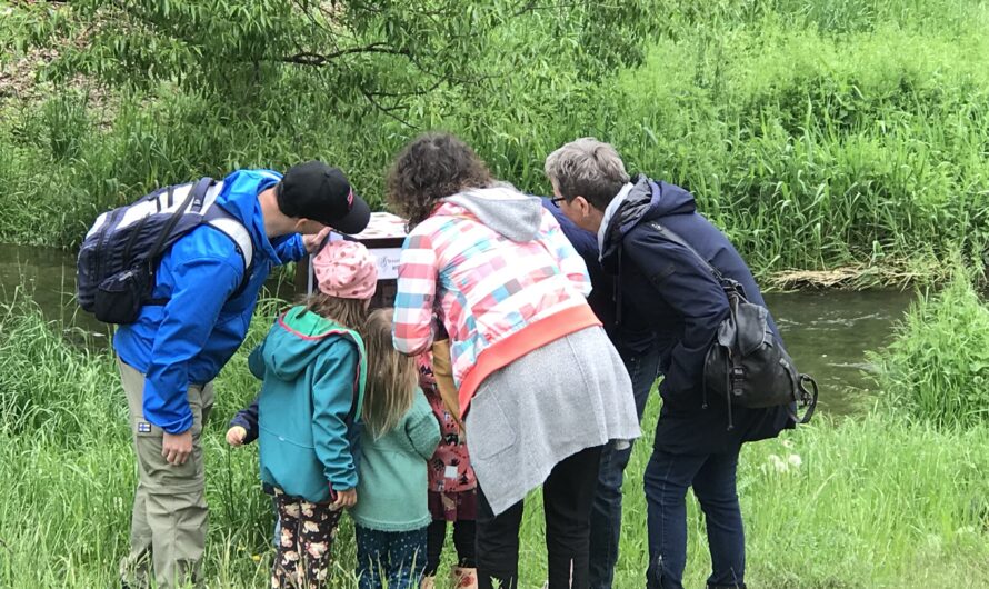 Eindrücke vom Brennnessel Wissens Parcours