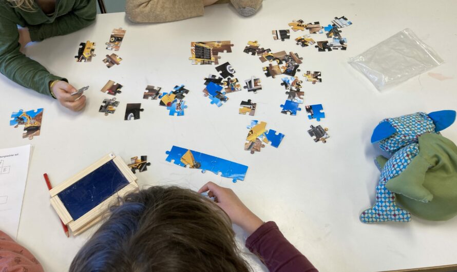 Puzzle-Fieber