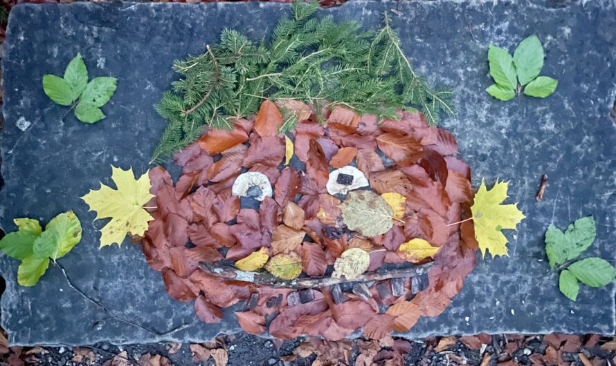 Tête, épaules, genoux et pieds