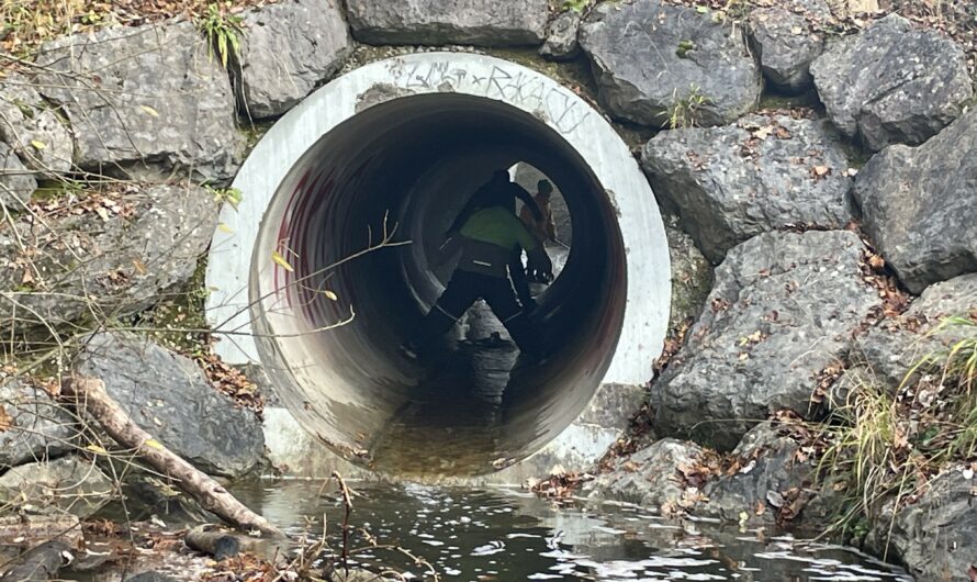 Mein Zukunfts -Tag an der Filasez