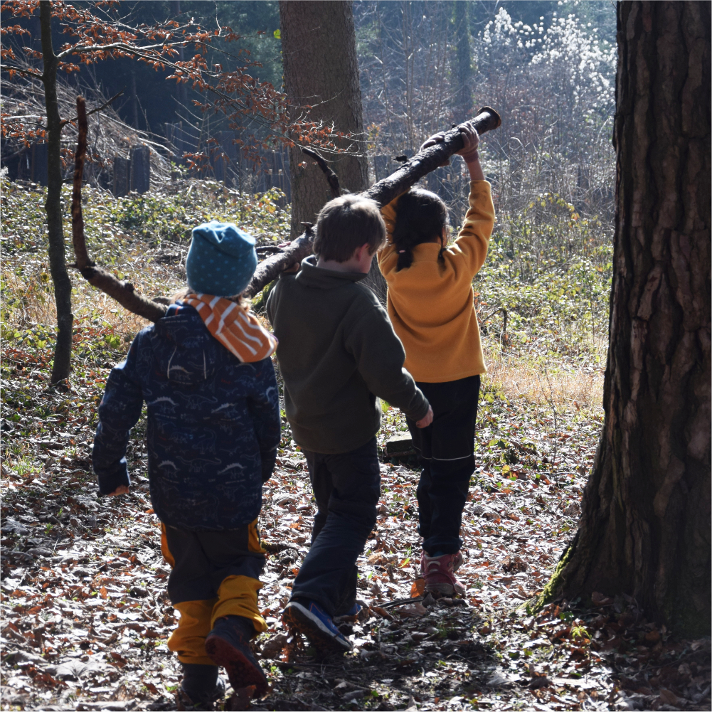 Im Wald unterwegs